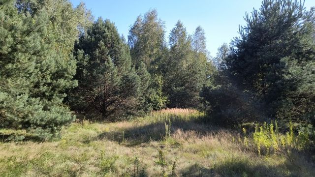 Działka rolna Raniżów. Zdjęcie 1