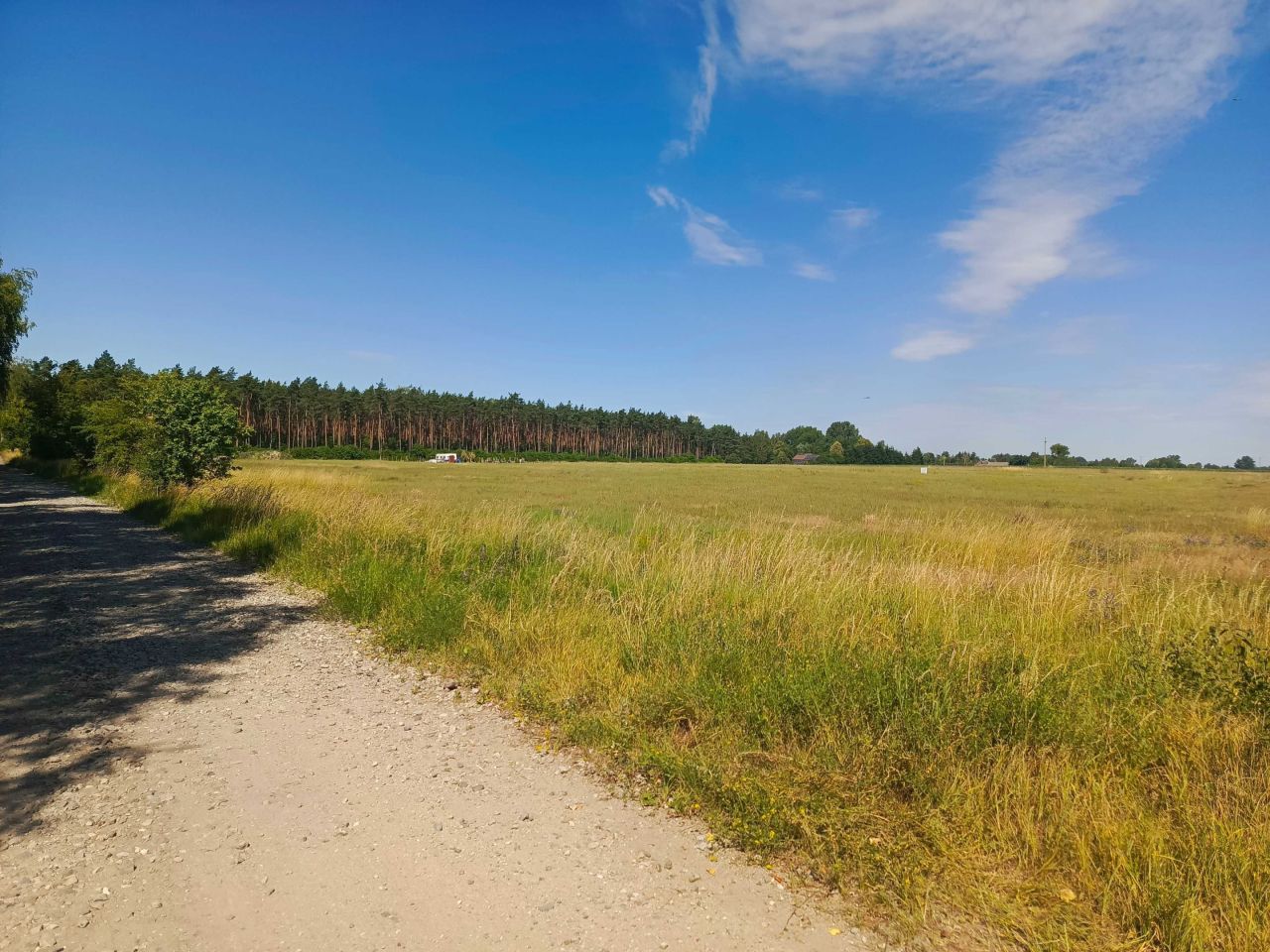 Działka budowlana Kalina. Zdjęcie 5