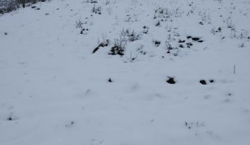 Działka budowlana Grodztwo