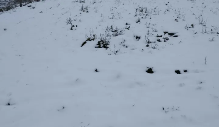 Działka budowlana Grodztwo