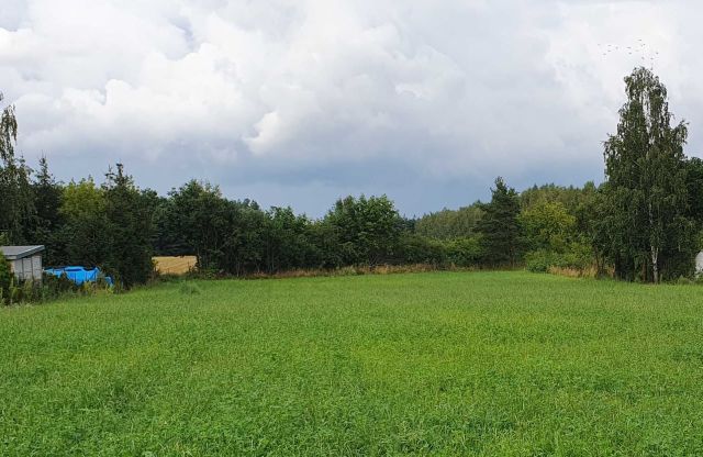 Działka budowlana Szydłowo, ul. Mazowiecka. Zdjęcie 1