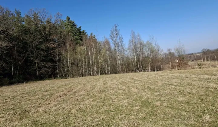 Działka rolno-budowlana Polna