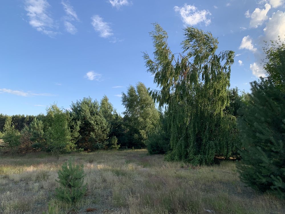 Działka rolno-budowlana Szumlin. Zdjęcie 8