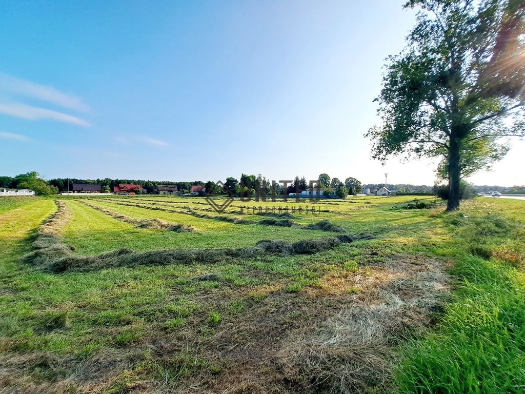 Działka inwestycyjna Borowa, ul. Klonowa. Zdjęcie 4