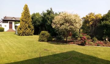 dom wolnostojący, 6 pokoi Trębaczew, ul. Reja