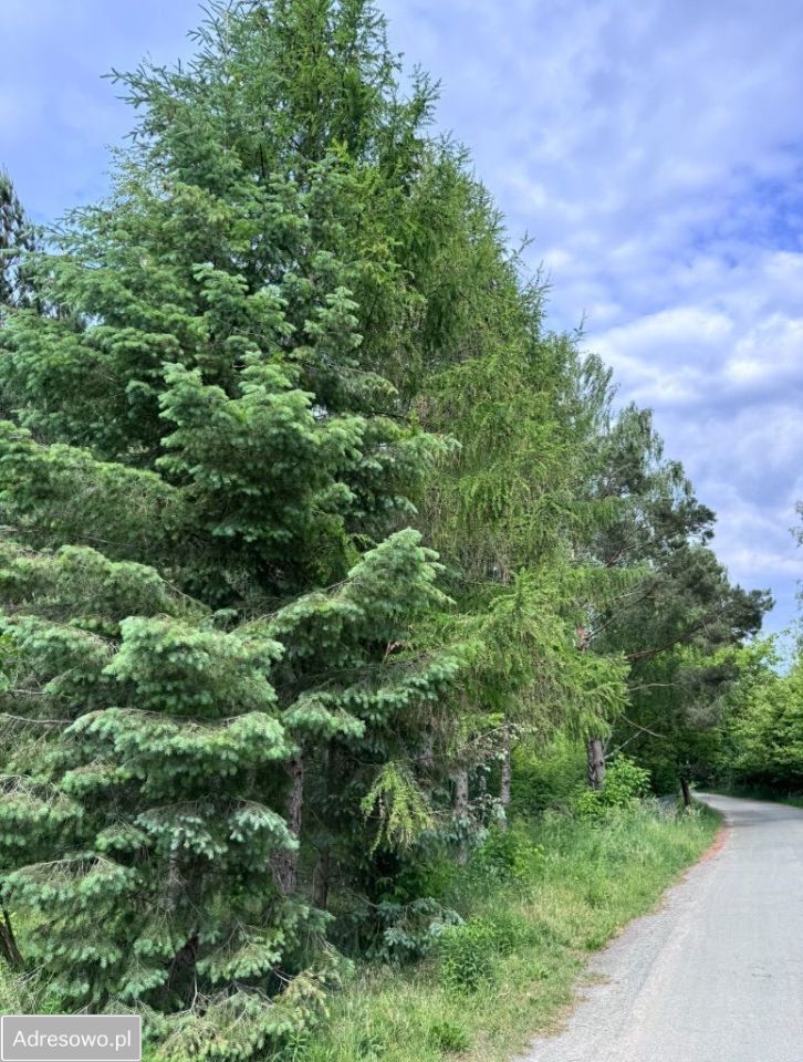 Działka budowlana Stara Wieś, ul. Głogowa. Zdjęcie 8