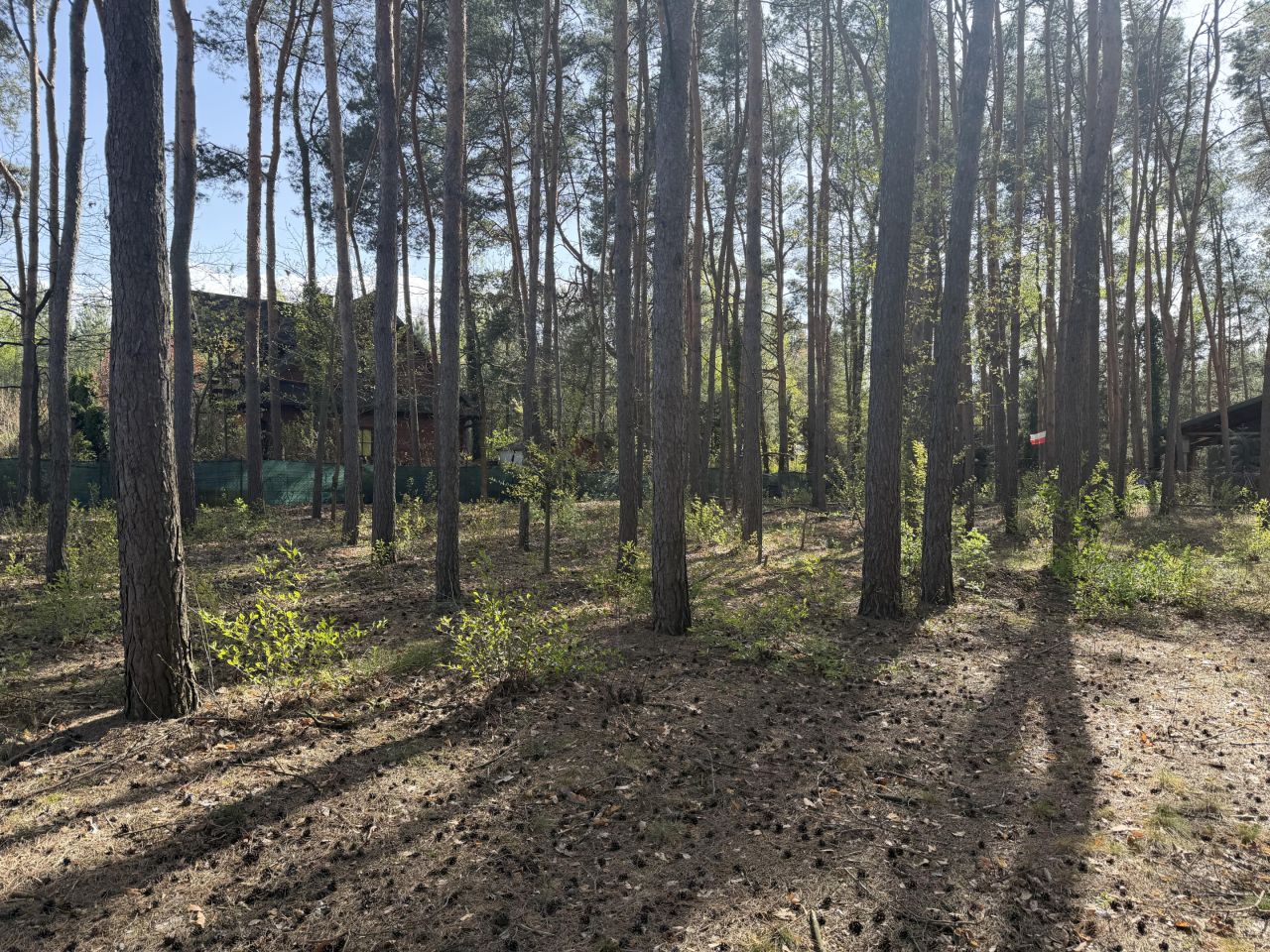 Działka budowlana Nowe Załubice, ul. Wiolinowa. Zdjęcie 6