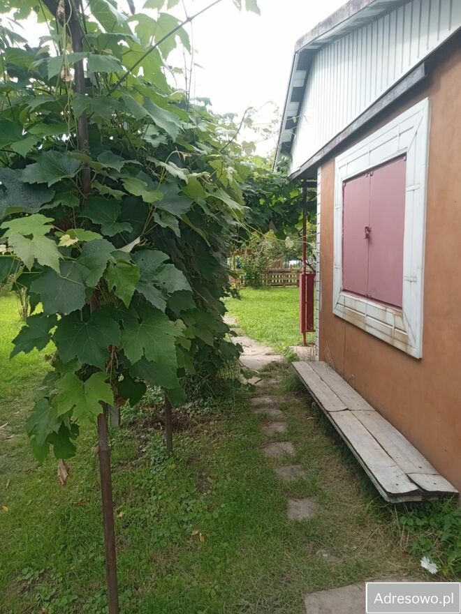 Działka rod Rzeszów, ul. Powstańców Listopadowych. Zdjęcie 7