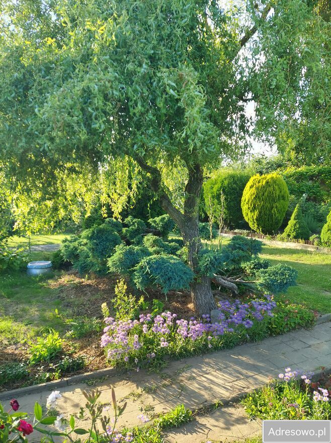 Działka rod Śrem, ul. Józefa Chełmońskiego. Zdjęcie 3