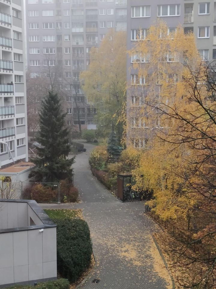 Mieszkanie 3-pokojowe Warszawa Powiśle, ul. Górnośląska. Zdjęcie 10