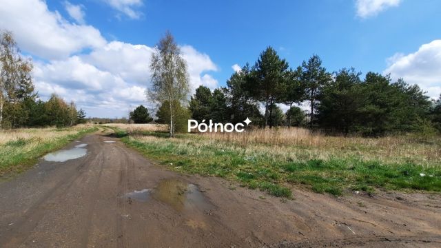 Działka inwestycyjna Wykroty. Zdjęcie 8