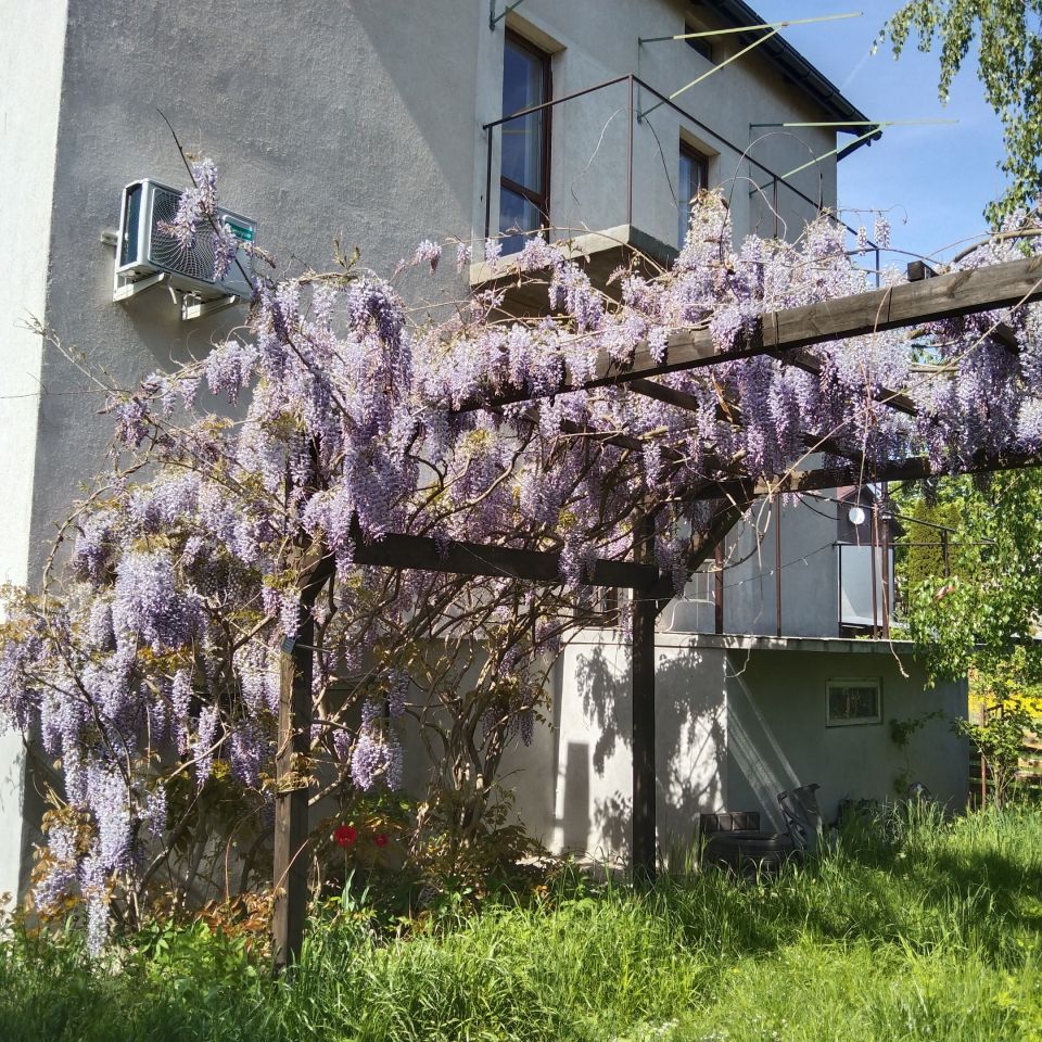 dom wolnostojący, 6 pokoi Anielin. Zdjęcie 3