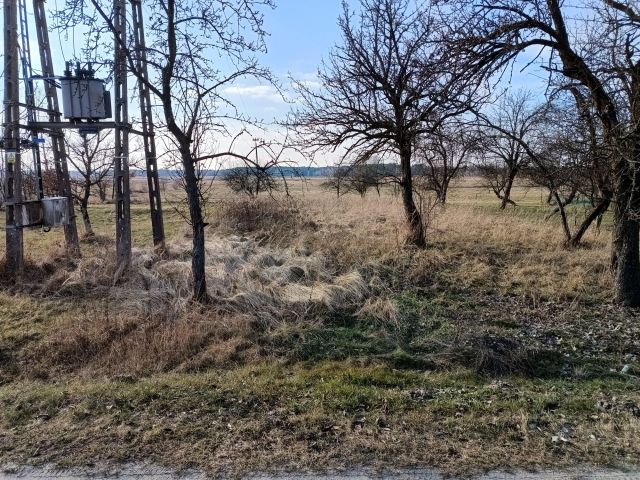 Działka rolno-budowlana Lipiny Górne-Borowina. Zdjęcie 1