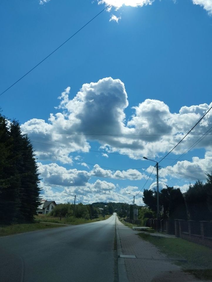 Działka budowlana Tumlin-Dąbrówka. Zdjęcie 6
