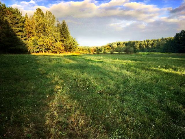 Działka siedliskowa Skuły, ul. Ekologiczna. Zdjęcie 3