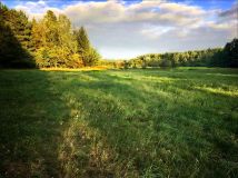 Działka siedliskowa Skuły, ul. Ekologiczna. Zdjęcie 2