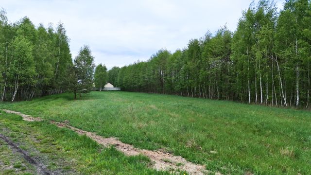 Działka budowlana Widełka. Zdjęcie 5