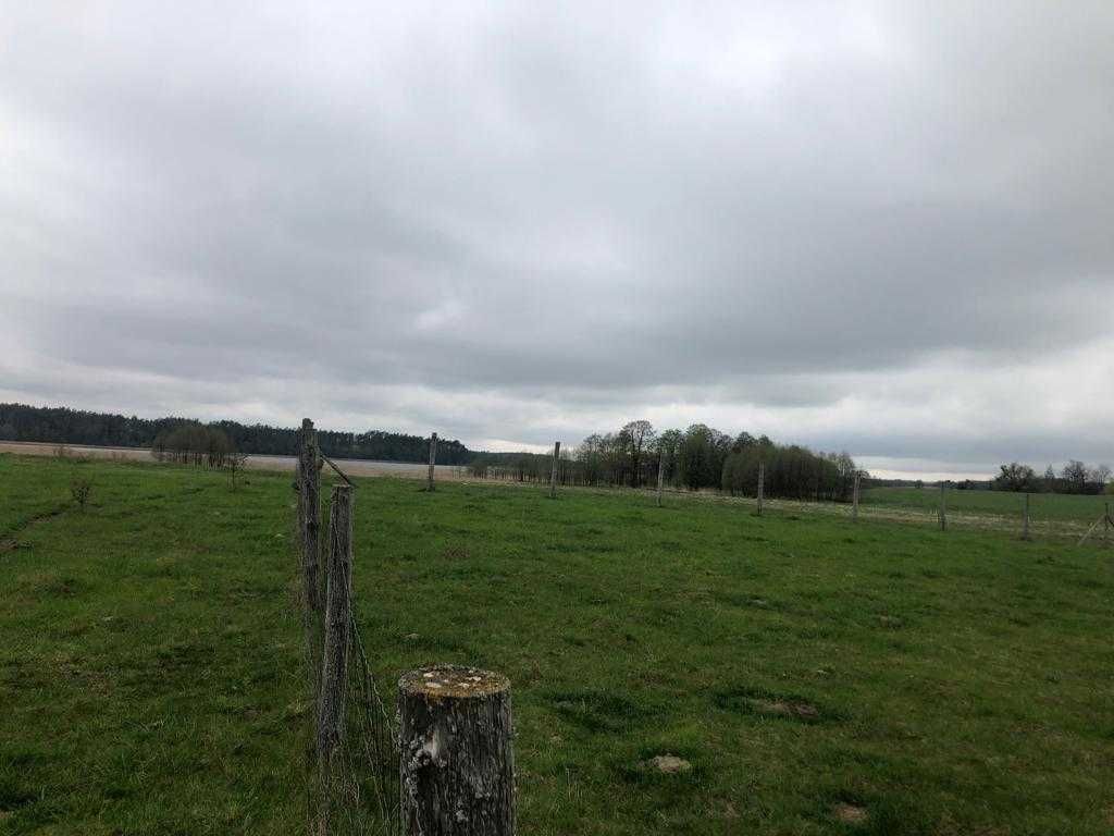 Działka rolna Goleń. Zdjęcie 2