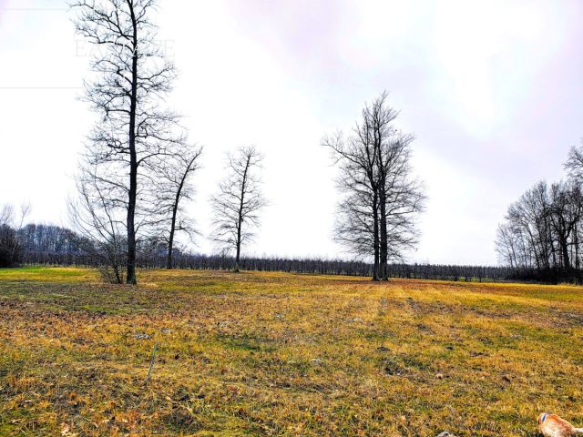 Działka budowlana Mariańskie Porzecze. Zdjęcie 4