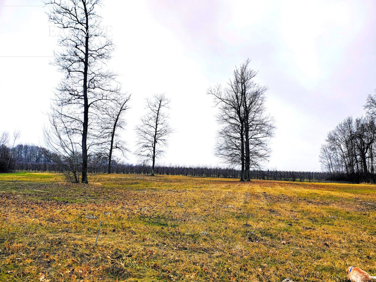 Działka budowlana Mariańskie Porzecze. Zdjęcie 4