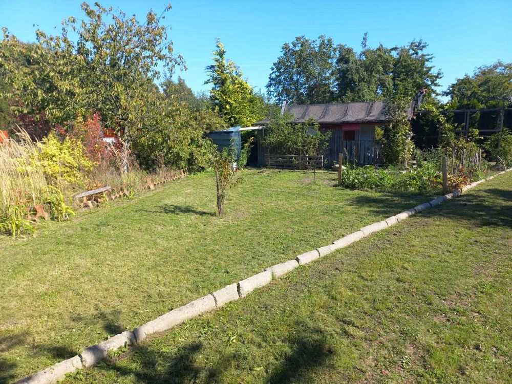 Działka rod Zielęcice. Zdjęcie 3