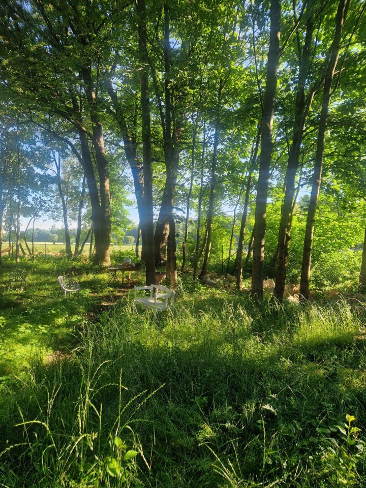 dworek, 10 pokoi Pławnica, Pławnica. Zdjęcie 6