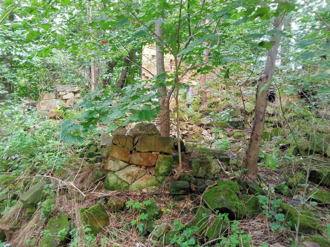 Działka budowlana Żerkowice. Zdjęcie 6