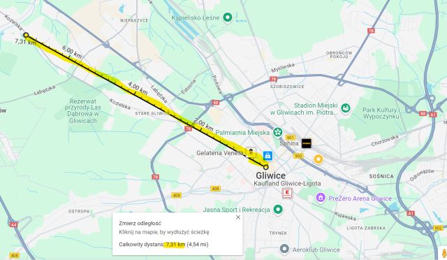 dom wolnostojący, 12 pokoi Gliwice Brzezinka, ul. Kozielska. Zdjęcie 38