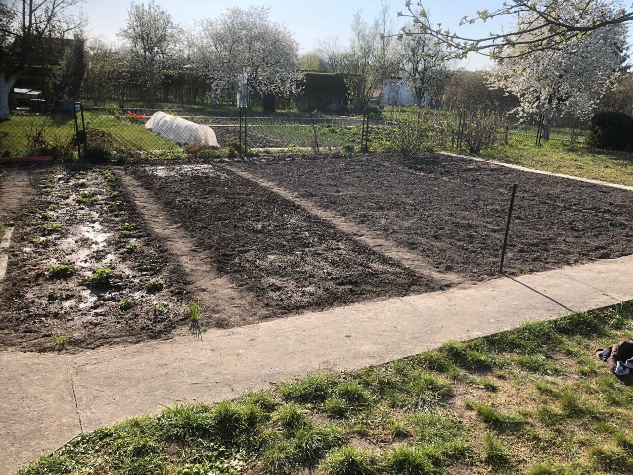 Działka rod Wrocław Kłokoczyce, ul. Kłokoczycka. Zdjęcie 2