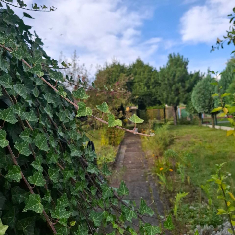 Działka rod Piekary Śląskie. Zdjęcie 3