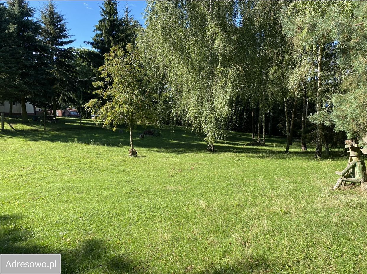 dom wolnostojący, 2 pokoje Nowa Wieś. Zdjęcie 9