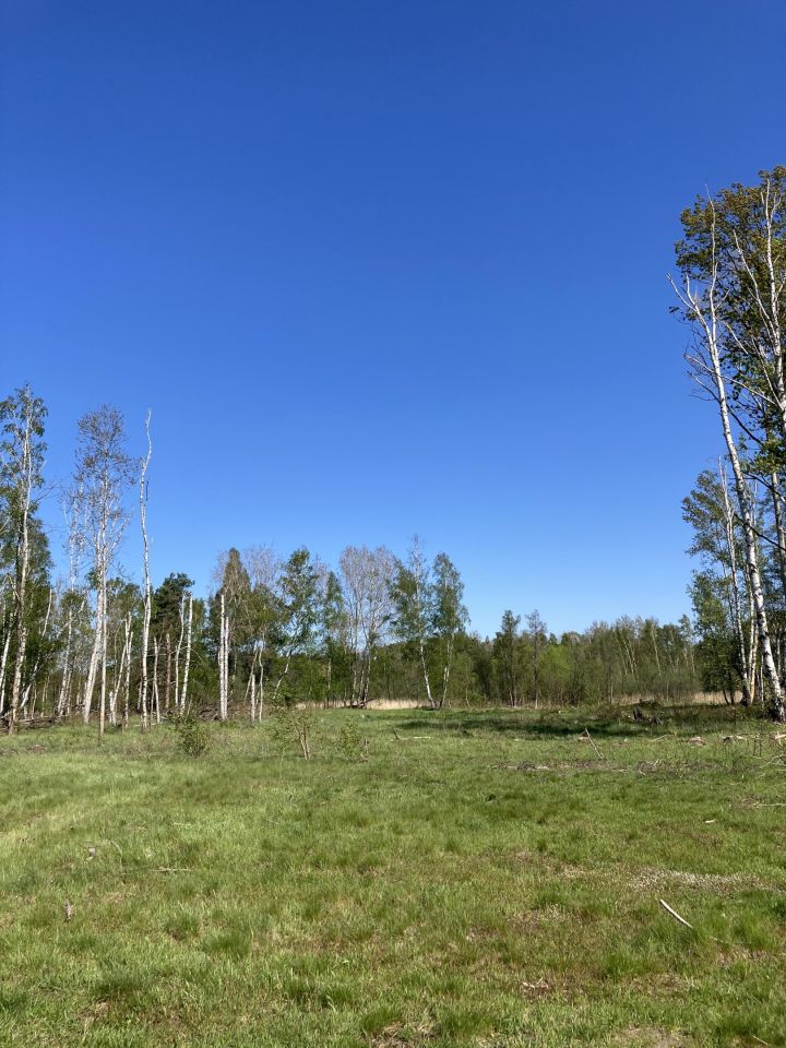 Działka inwestycyjna Chełm Żarski. Zdjęcie 4