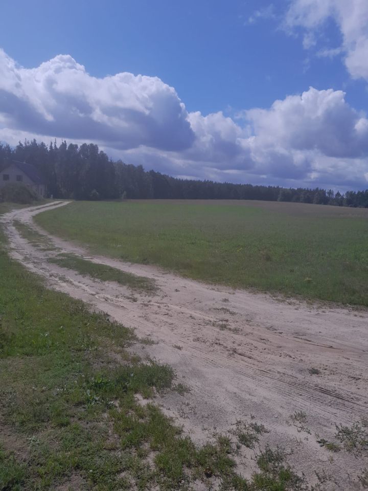 Działka budowlana Wiele Wiele-Wybudowanie. Zdjęcie 5