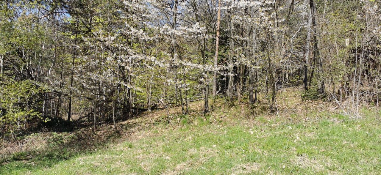 Działka budowlana Myślenice Chełm. Zdjęcie 6