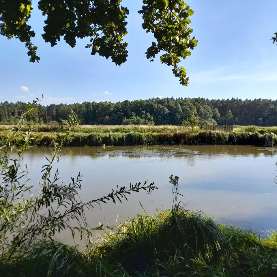 Działka rolno-budowlana Janów Lubelski, ul. Ulanowska. Zdjęcie 4