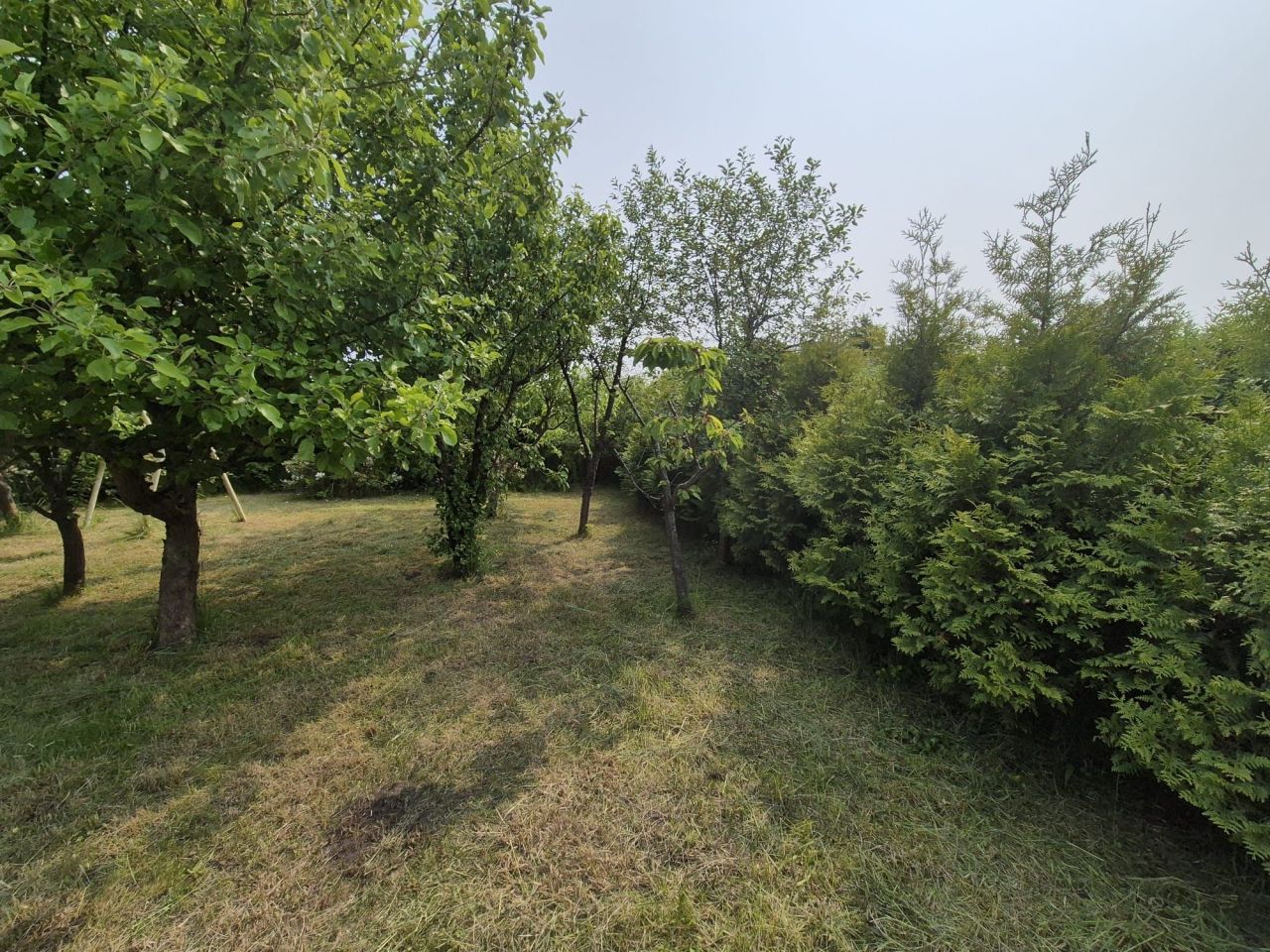 Działka rod Kołobrzeg. Zdjęcie 8