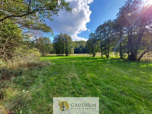 Działka Kobysewo. Zdjęcie 10