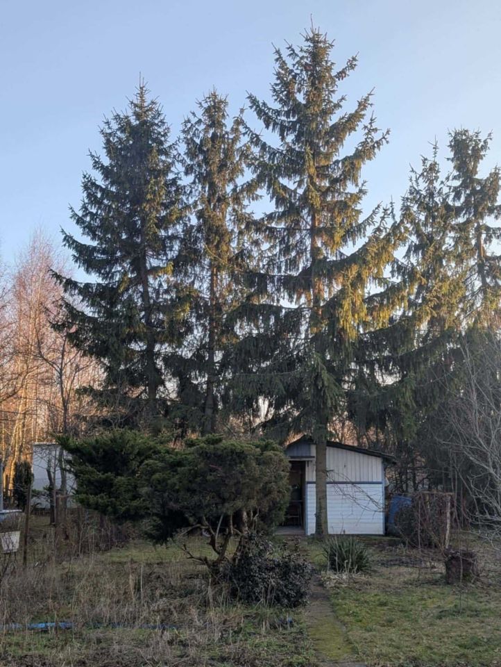 Działka rod Błonie. Zdjęcie 2