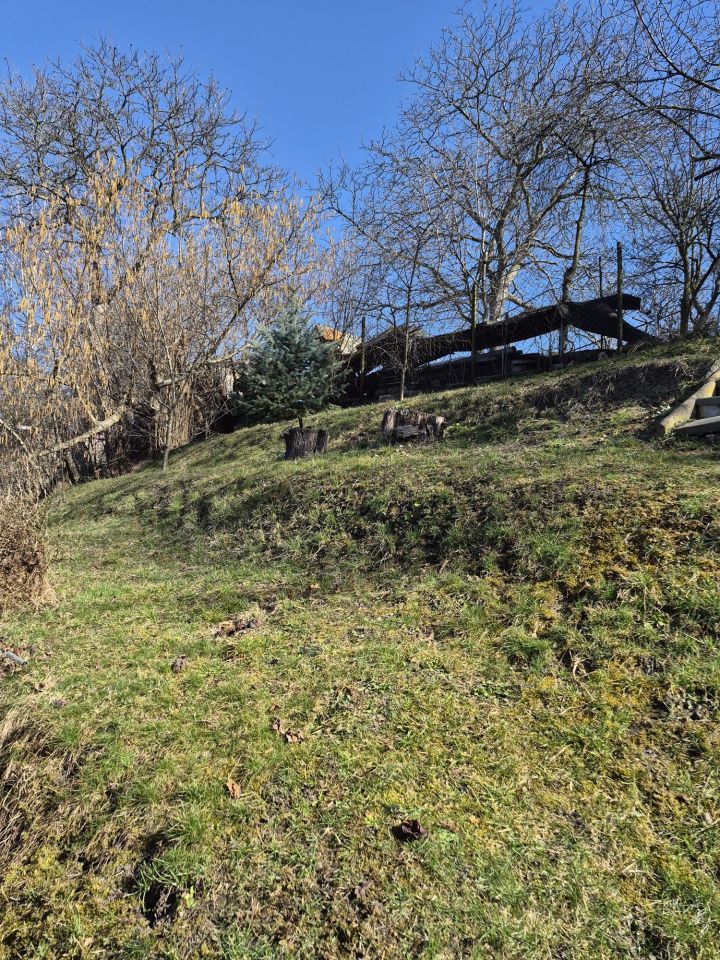 Działka rod Gliwice, ul. Sikornik. Zdjęcie 2