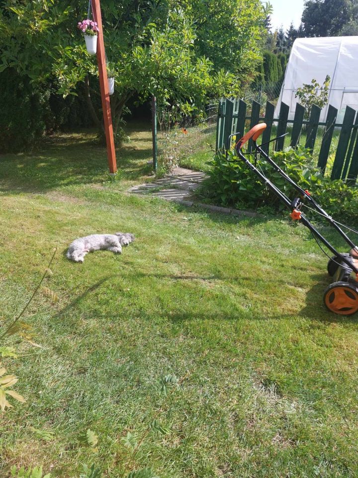 Działka rod Grójec, ul. Graniczna. Zdjęcie 24