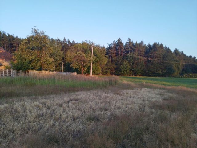 siedlisko Ścichawa. Zdjęcie 1