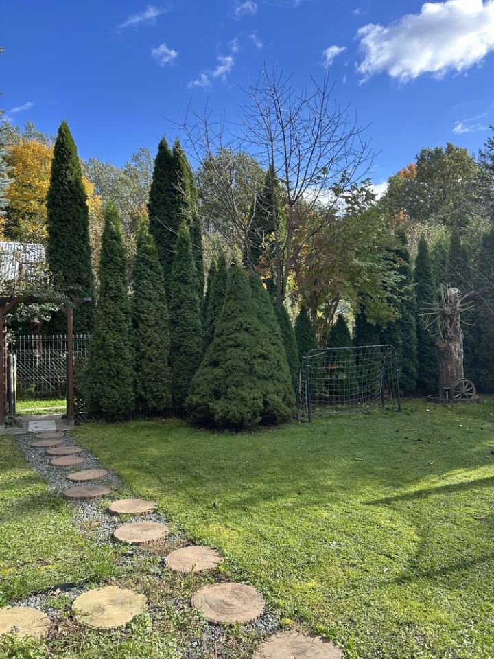 Działka rod Brzegi. Zdjęcie 2