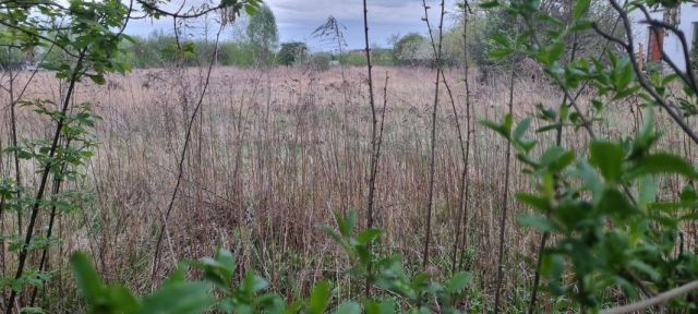 Działka budowlana Kręczki. Zdjęcie 1