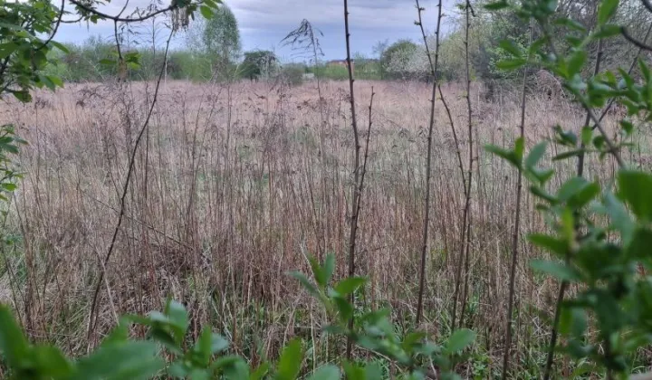 Działka budowlana Kręczki