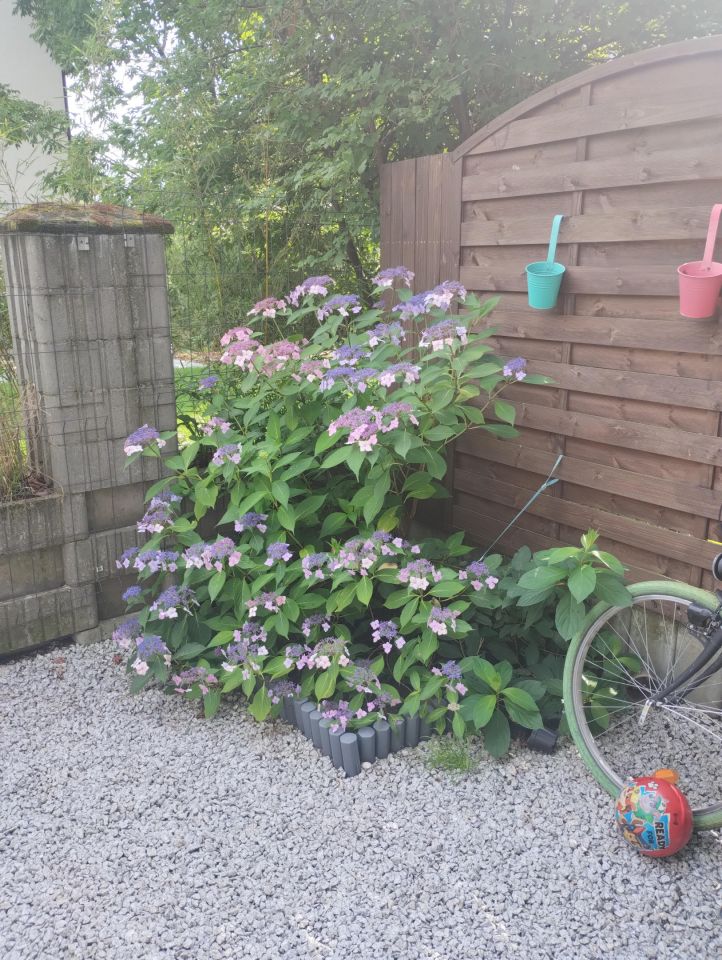 Mieszkanie 3-pokojowe Kraków Dębniki, ul. Obozowa. Zdjęcie 10