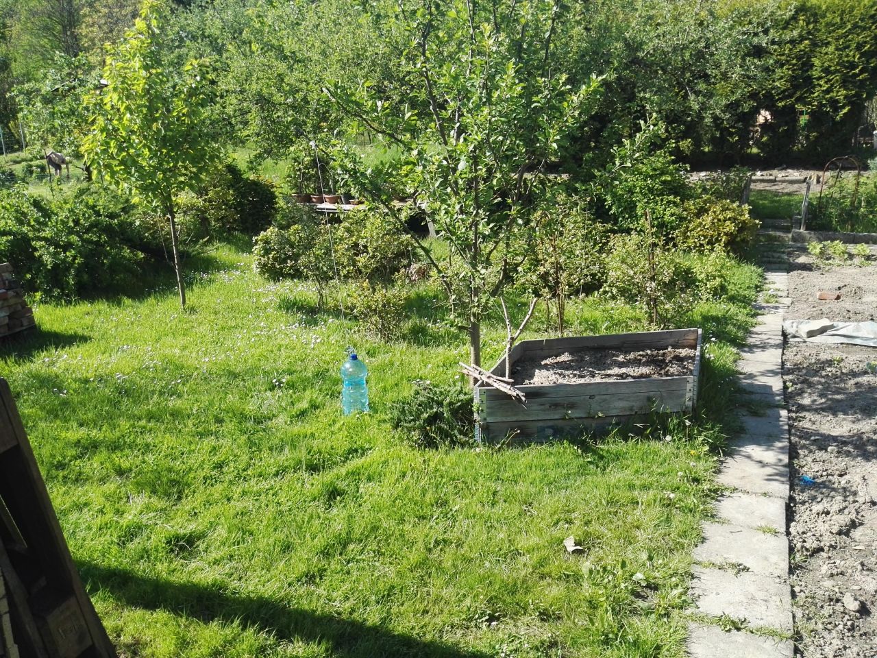 Działka rod Kraków Bielany, ul. Mirowska. Zdjęcie 7