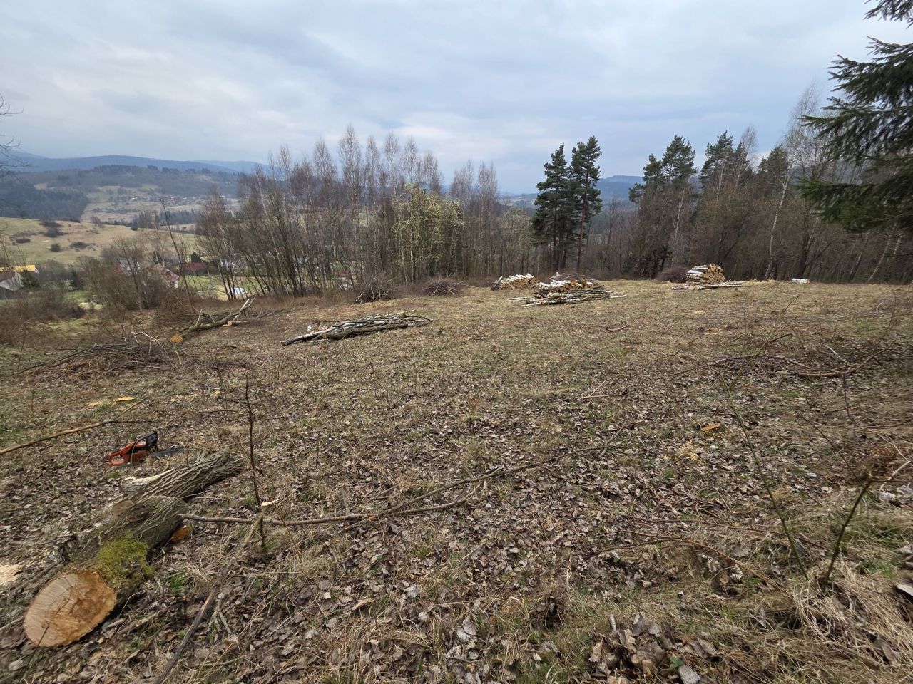 Działka rolna Kurów. Zdjęcie 6