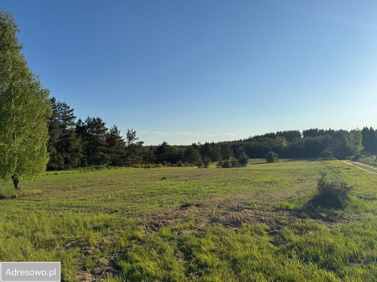 Działka rolno-budowlana Siecino