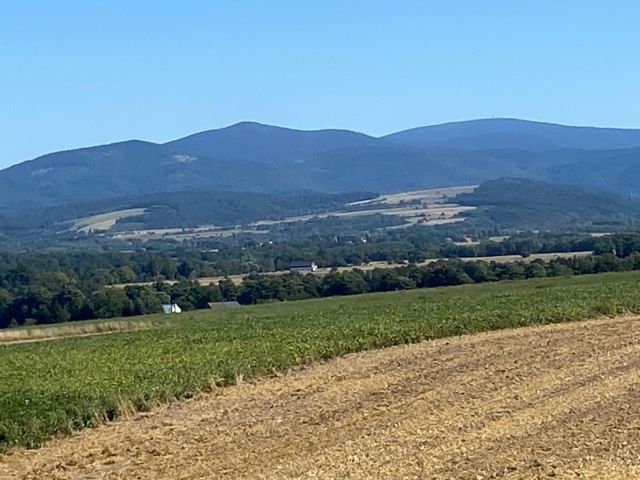 Działka rolno-budowlana Gorzanów Muszyn. Zdjęcie 3