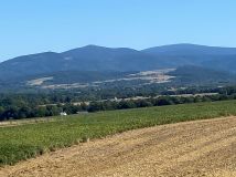 Działka rolno-budowlana Gorzanów Muszyn. Zdjęcie 2